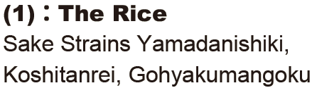 The Rice: Sake Strains Yamadanishiki, Koshitanrei, Gohyakumangoku
